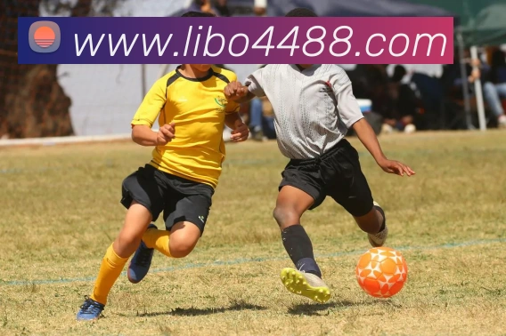 libo立博英国APP 封面图